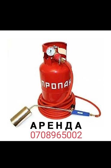 Другие животные: Сдам в аренду звоните — 8