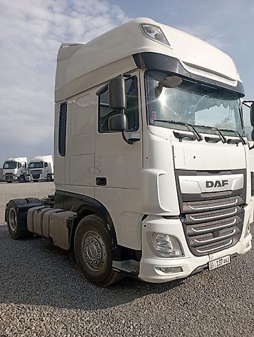 daf 2019: Тягач, DAF, 2018 г. — 3