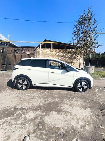 BYD: BYD Dolphin: 2023 г., Автомат, Электромобиль, Хэтчбэк — 1