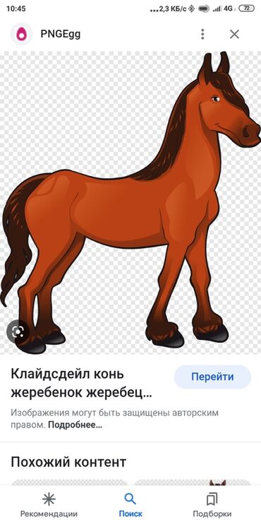 золотая лошадь мазь: Куплю | Лошади, кони