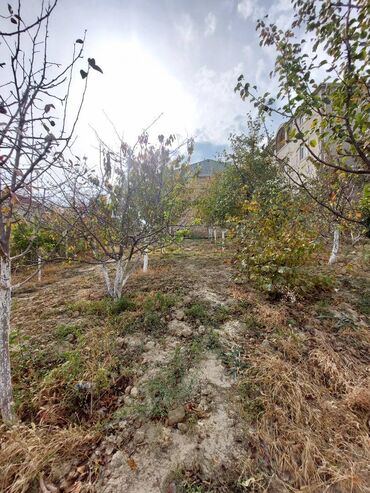 Həyət evləri və villaların satışı: Saray 5 otaqlı, 240 kv. m, Kredit yoxdur, Yeni təmirli — 18