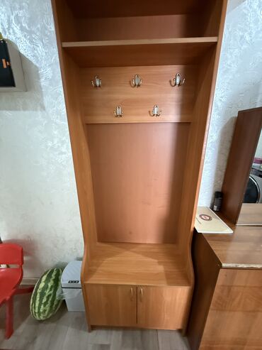 костюм для охоты: Кийим салуучу шкаф, Колдонулган, Түз, Жыгач