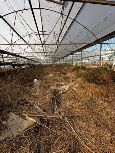 Kommersiya daşınmaz əmlakının satışı: Abseron Rayonu Məhəmmədli Qəsəbəsində Parnik satilir. Torpaq sahəsi 60 -da lalafo.az — 12 Kommersiya daşınmaz əmlakının satışı: Abseron Rayonu Məhəmmədli Qəsəbəsində Parnik satilir. Torpaq sahəsi 60 — 12
