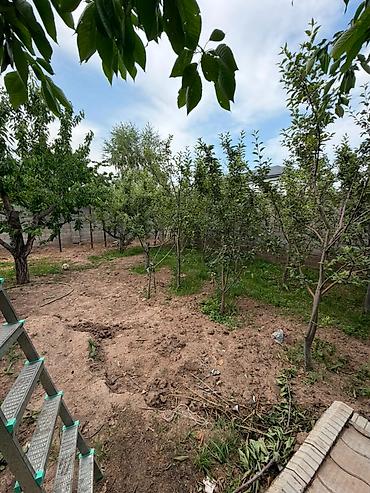 дома кок жар: ‼️Продается Дом ж/м Айкол 📍Село Кок Жар. ▪️Дом расположен на — 10