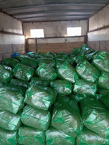 Корма для с/х животных: 50% КУКУРУЗЫ 25 кг ВЕС,С погрузкой выше 5 тонн договорная — 1