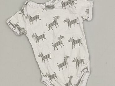 tom tailor sukienki letnie: Body, 3-6 months, 
condition - Perfect