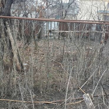 Torpaq sahələrinin satışı: 3 sot, Tikinti, Mülkiyyətçi, Kupça (Çıxarış) — 12