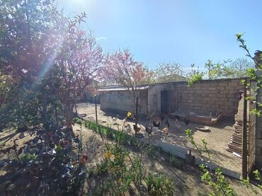 Həyət evləri və villaların satışı: Sabunçu rayonu Maştağa qəsəbəsi ərazisində Zabrat Maştağa yolunun -da lalafo.az — 26 Həyət evləri və villaların satışı: Sabunçu rayonu Maştağa qəsəbəsi ərazisində Zabrat Maştağa yolunun — 26