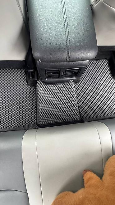 Полики: Полики — 16