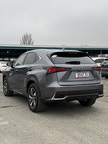 Lexus: Lexus NX: 2020 г., 2.5 л, Типтроник, Бензин, Кроссовер — 5