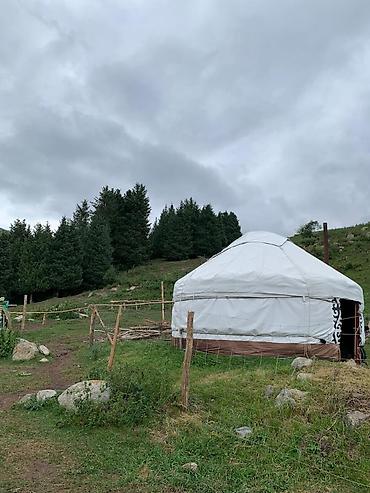 куплю палатку для отдыха: Аренда юрты, Каркас Металлический, 75 баш — 1