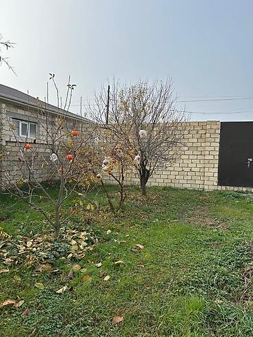 Torpaq sahələrinin satışı: Tikinti — 25