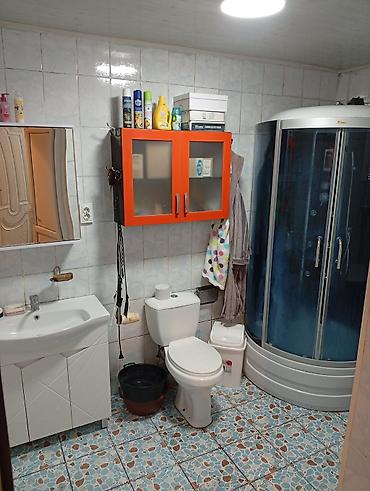 Продажа коттеджей и домов: Продаётся большой дом в селе Петровка с большим участком 40 — 22