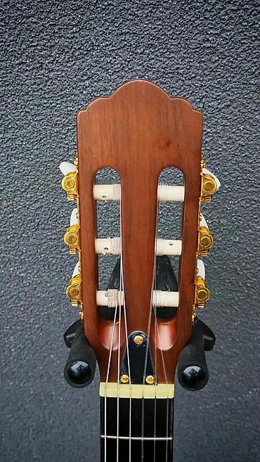 bas gitara cena: ANGEL LOPEZ EC3000CNA | Slanje po dogovoru ili lično preuzimanje - — 7