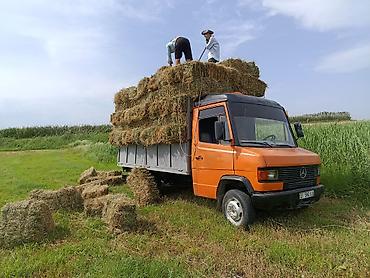 мерседес 1320: Грузовик, Mercedes-Benz, Стандарт, 5 т, Б/у — 6