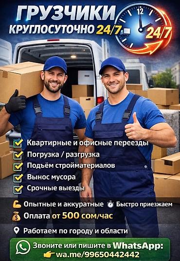 Жүк ташуучулар: Жүк ташуучу. 6 жылдан ашык тажрыйба — 2