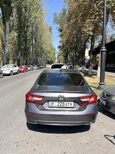 type r: Honda Accord: 2019 г., 1.5 л, Автомат, Бензин, Седан — 4