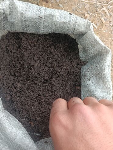 Toxumlar: Torflarin satişi balaken ekolay kkokavit 250litrlik xaricden gelen — 13