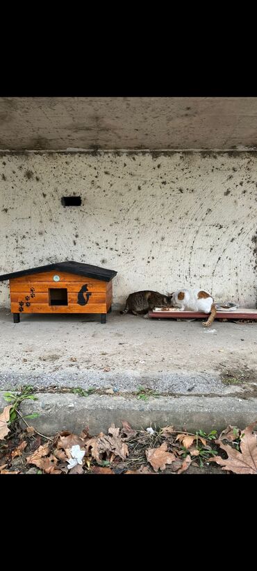 Yuvalar: Məhsul: Açıq havada istifadə üçün taxta pişik evi Təsvir: - Küçə və — 2