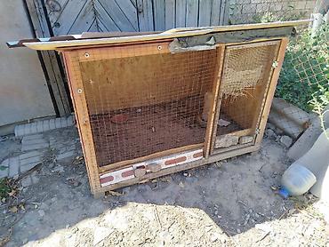 бойцовские куры: Продаю курятники — 3
