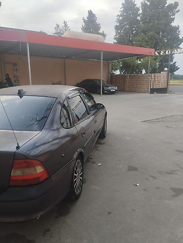 niva siti satilir: Opel Vectra: 1.6 l | 1996 il 25000 km Sedan — 5