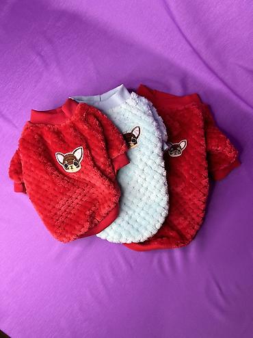 Зоотовары: Одежда для кошек и собак. Все НОВОЕ РАЗМЕР И ЦЕНА УКАЗАНЫ НА ФОТО — 29