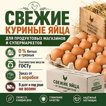 Свежие куриные яйца для продуктовых магазинов и супермаркетов. У нас