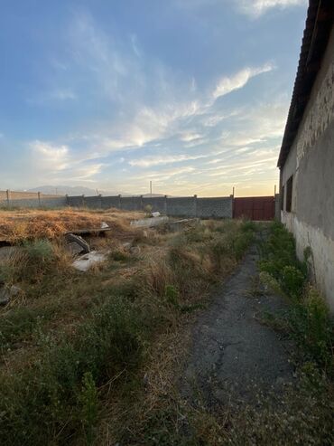 Продажа участков: 100 соток, Красная книга — 4