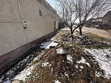 Продажа коттеджей и домов: СРОЧНО СРОЧНО СРОЧНО ❗️❗️❗️ Продается уютный, новый дом в жилмассиве — 4