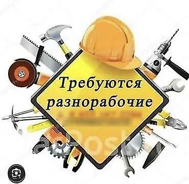 freight union: Требуется Разнорабочий на производство, Оплата: Дважды в месяц, Без опыта — 1