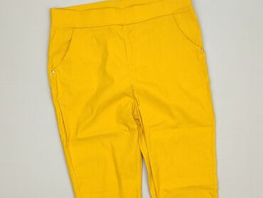 legginsy woskowane matowe: Legginsy rozmiar XL