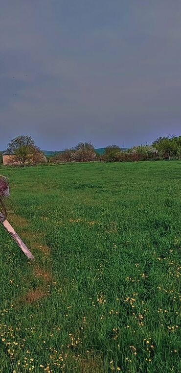 Kirayə torpaq sahələri: 10 sot Kənd təsərrüfatı, Qaz, Su, İşıq — 10