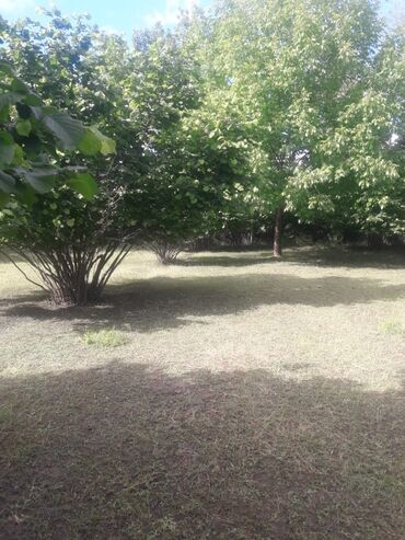 Torpaq sahələrinin satışı: 20 sot, Tikinti, Mülkiyyətçi, Kupça (Çıxarış), Müqavilə — 7