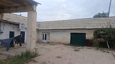 огуз: Продается в селе Кызыл суу, Джеты огузский район, Ыссыккульская — 2