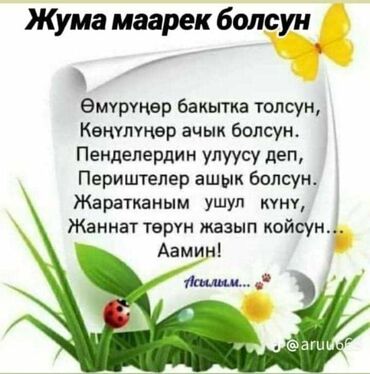 Долгосрочная аренда квартир: 1 комната, Собственник, Без подселения, С мебелью полностью