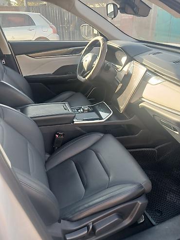 hongqi ehs9: Weltmeister EX5, 2020 г. — 9