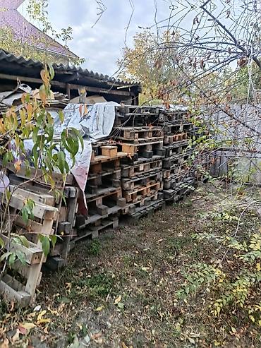 мешки для картофеля: Продаю макулатура картон есть примерно 500 кг или больше и ещё продаю — 5