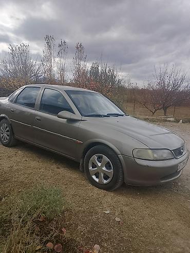 aimb g3: Opel Vectra: 1996 г., 2 л, Механика, Газ, Седан — 2