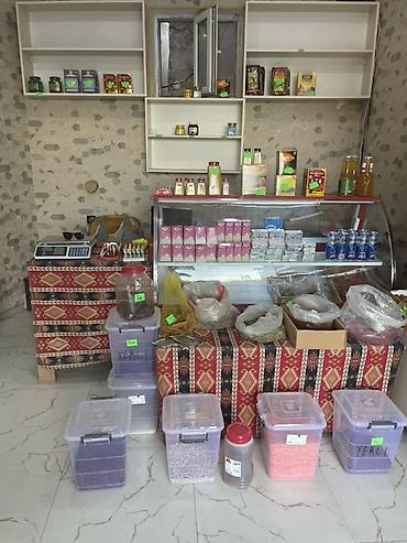 rəf satışı: Mağaza üçün avadanlıq paketi - Şüşə qapılı içki soyuducusu: dik, dar — 3