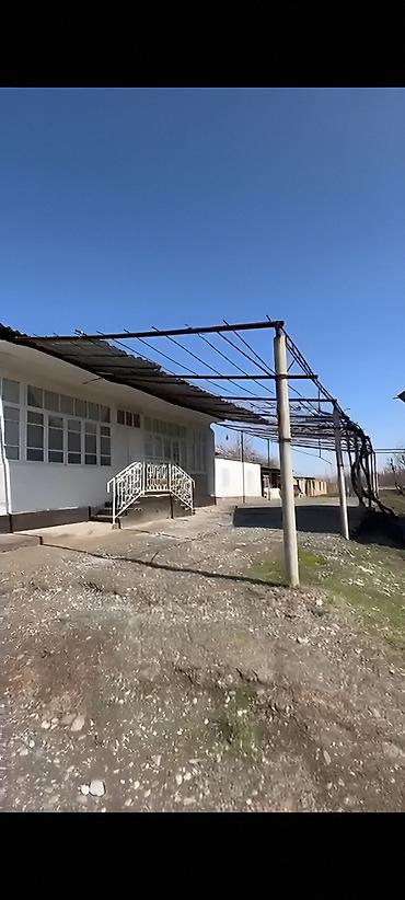 Другие удобства для дома и сада: Другие удобства для дома и сада — 2