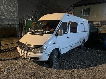 Mercedes-Benz: Mercedes-Benz Спринтер: 2003 г., 2.9 л, Механика, Дизель, Фургон — 1
