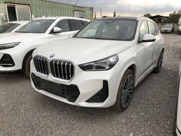 bwm самурай: Белый компактный кроссовер BMW X1 с характерной большой радиаторной