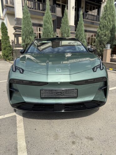 тесла машына: Zeekr Х: 0.1 - engine capacity л | 2023 г. Кроссовер