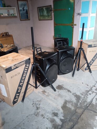 акустические системы celsus sound: Продаю профессиональные новые колонки мощность Макс 800 ват каждаЯ
