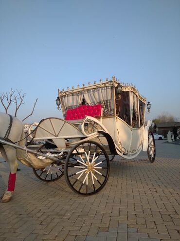 свадебный автобус: Продаётся карета или повозка, кто кок называет, свадебного золушки