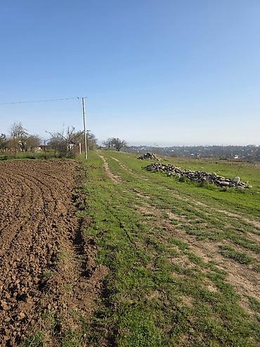 Su təchizatı: Sanitar-quraşdırma və hamam-tualet təmiri xidməti Təklif olunan — 68