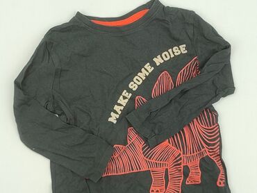 custom koszulki: Sweatshirt, Little kids, 5-6 years, 110-116 cm, condition - Very good