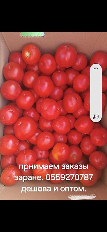 Помидоры: Помидоры Сливки, Оптом — 3
