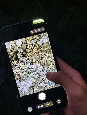 iphone 2 sim: IPhone 11 Pro Max, Б/у, 256 ГБ, Зеленый, 100 % — 6
