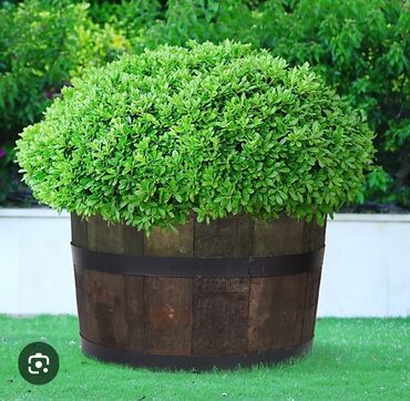 Süni güllər: Taxta dibçək, Dekorativ yumru dolab-çəllək, sifarişlə hazırlanması — 7